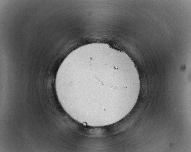 X0000100360225200807031845