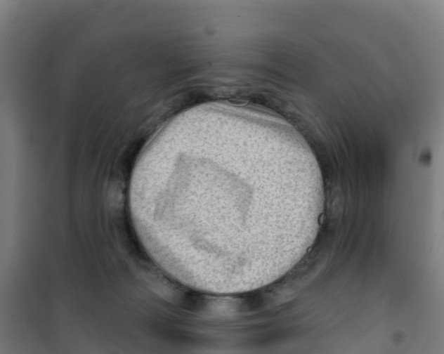 X0000100360226200807031845