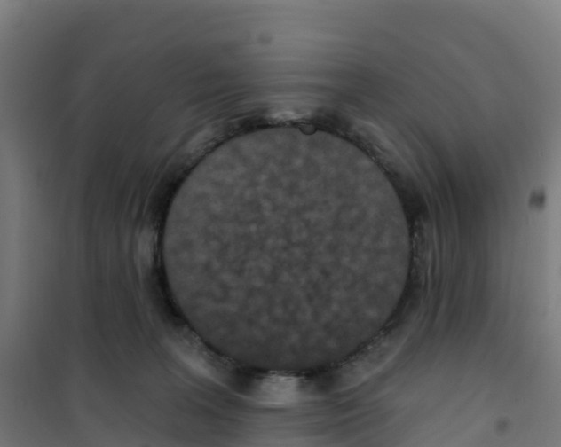 X0000100360227200807031845