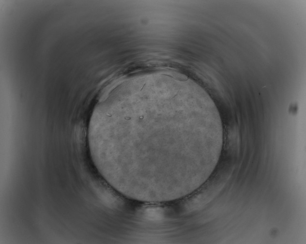 X0000100360228200807031845