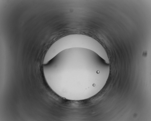 X0000100360229200807031845