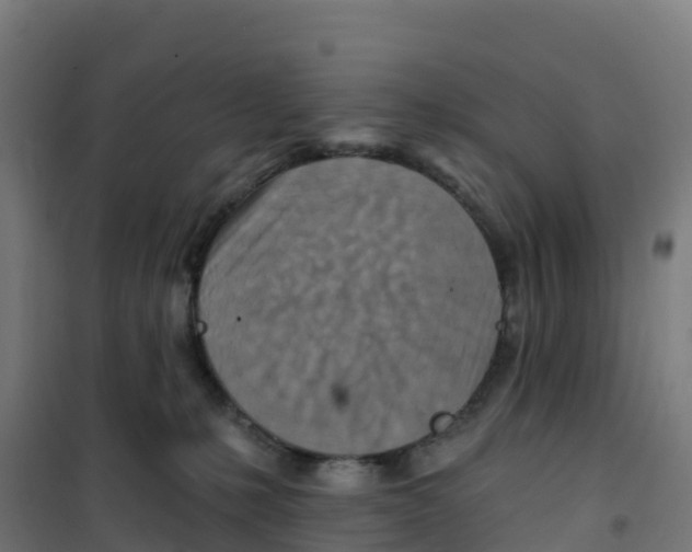 X0000100360231200807031845