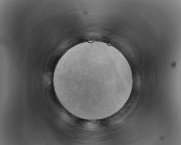 X0000100360232200807031845