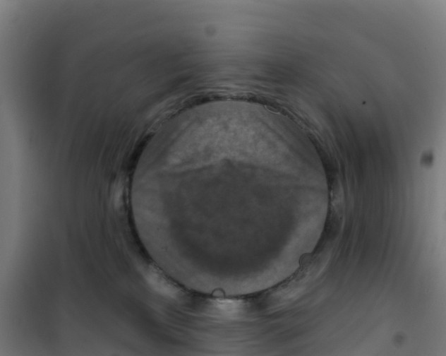 X0000100360233200807031845