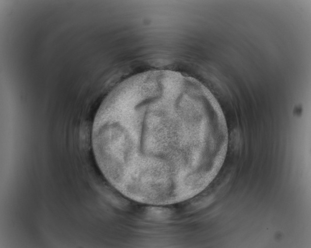 X0000100360234200807031845