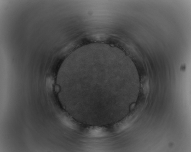 X0000100360235200807031845