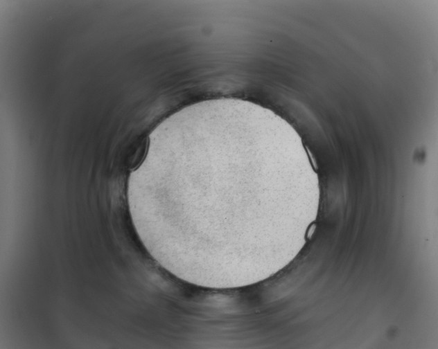 X0000100360236200807031845