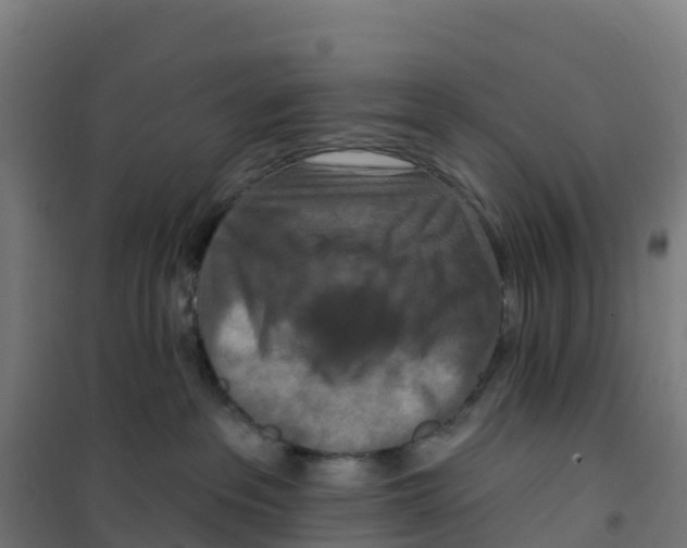 X0000100360237200807031845