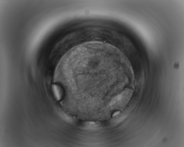 X0000100360239200807031845