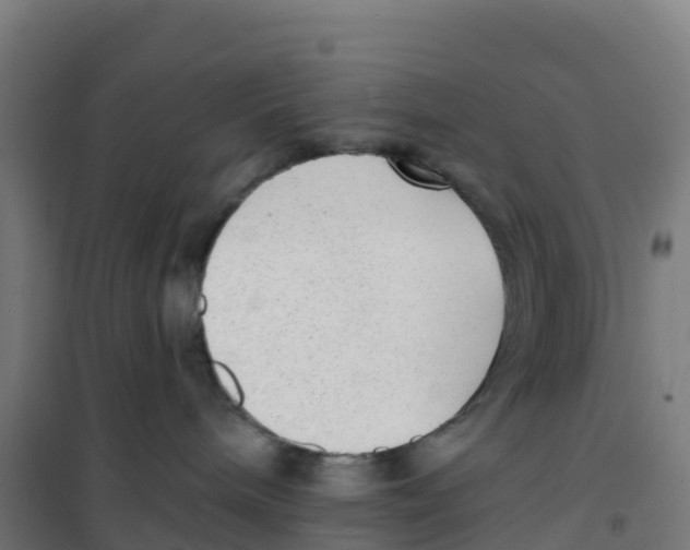 X0000100360240200807031845