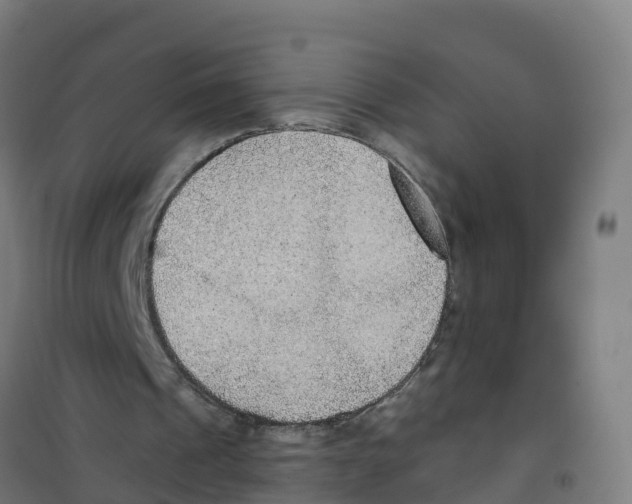 X0000100360241200807031844