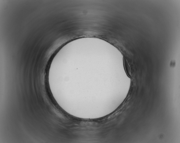 X0000100360242200807031844