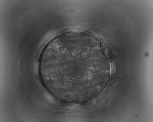 X0000100360243200807031844