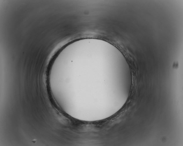 X0000100360244200807031844
