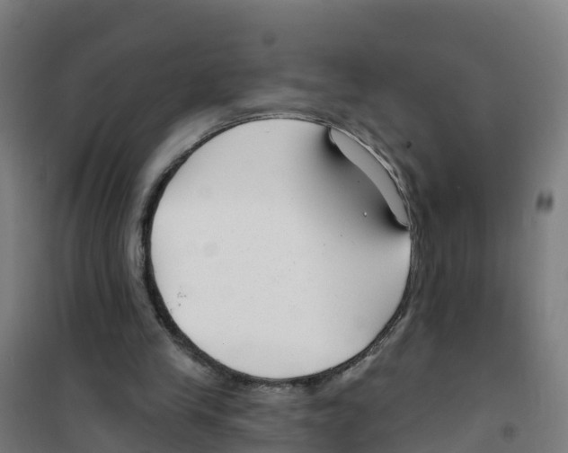 X0000100360245200807031844