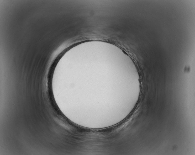 X0000100360246200807031844