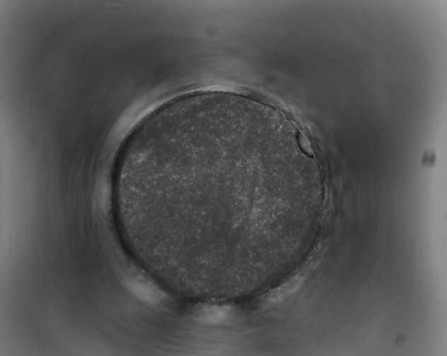 X0000100360247200807031844