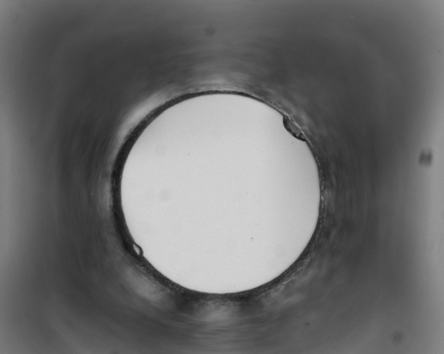X0000100360248200807031844