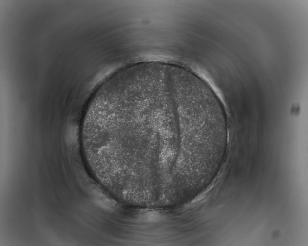 X0000100360249200807031844