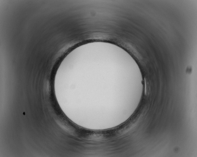X0000100360252200807031845