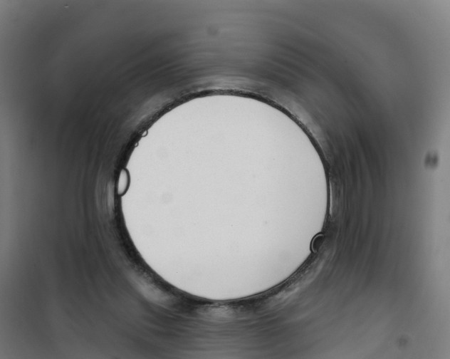 X0000100360253200807031845