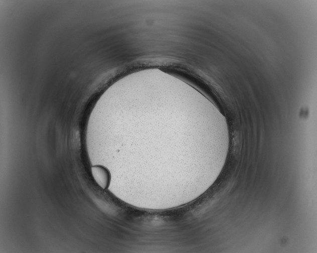 X0000100360254200807031845