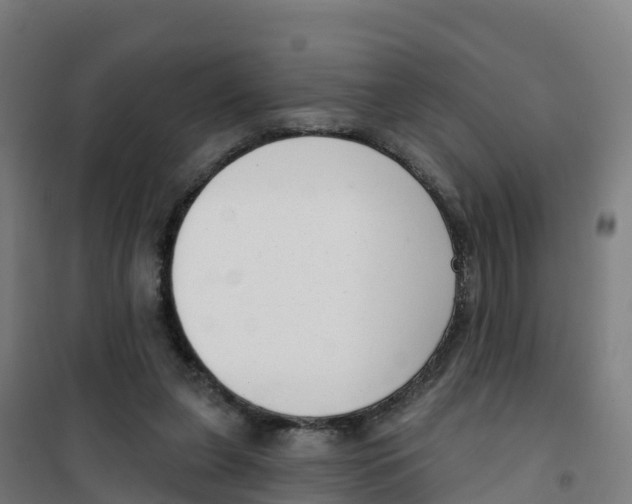 X0000100360255200807031845