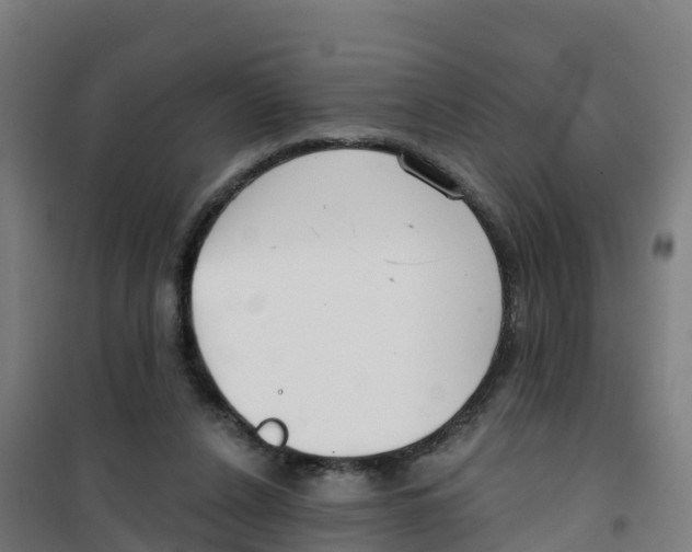 X0000100360256200807031845