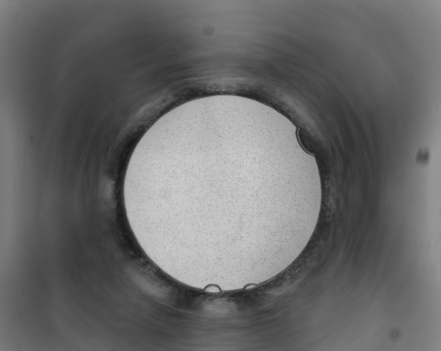 X0000100360258200807031845