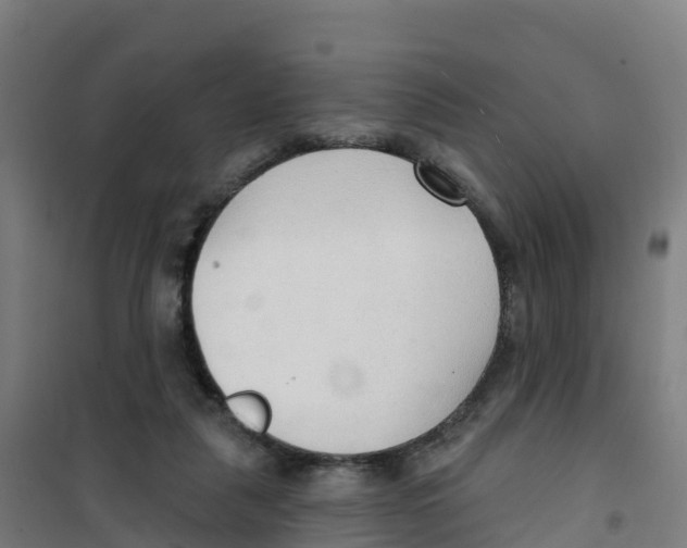 X0000100360259200807031845