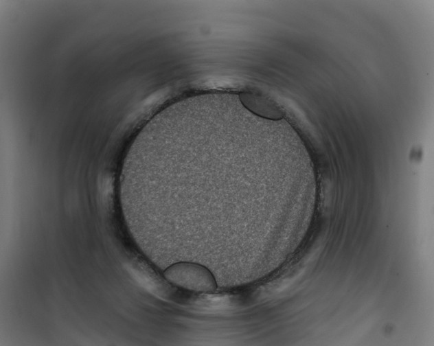 X0000100360260200807031845
