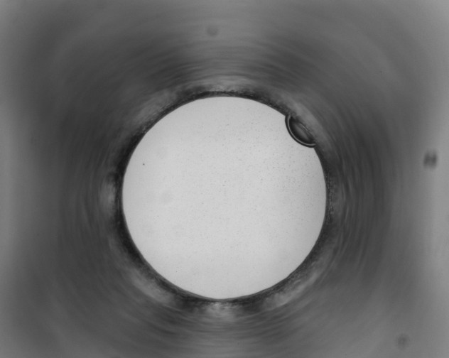 X0000100360261200807031845