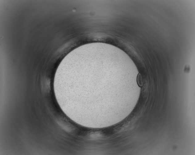 X0000100360262200807031845
