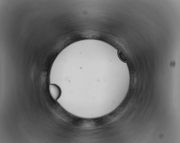X0000100360263200807031845