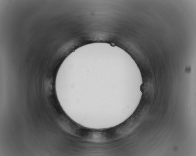 X0000100360264200807031845