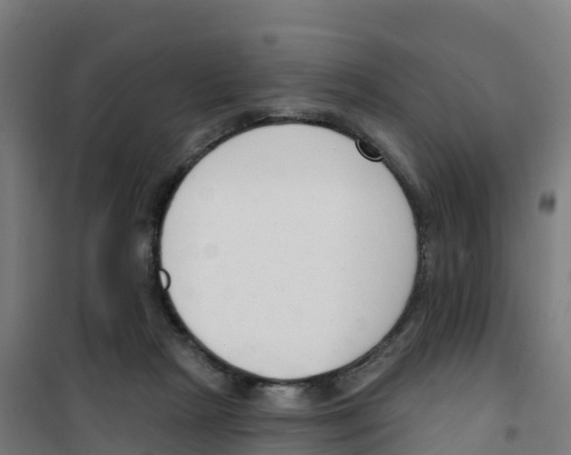 X0000100360265200807031845