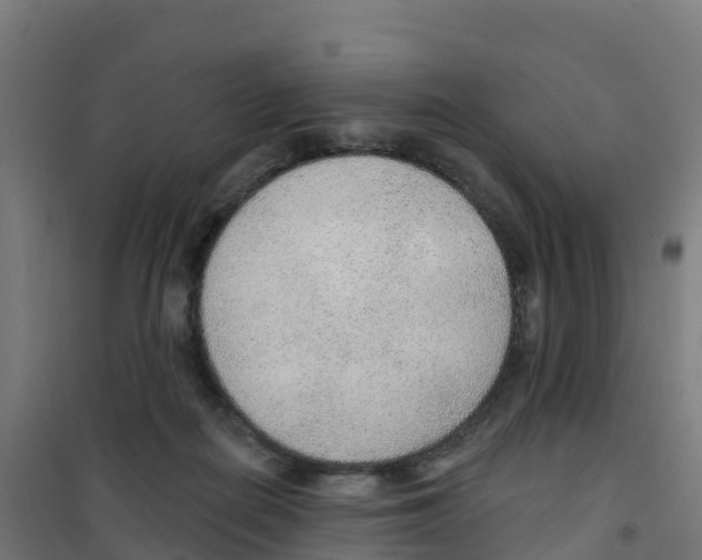 X0000100360266200807031845