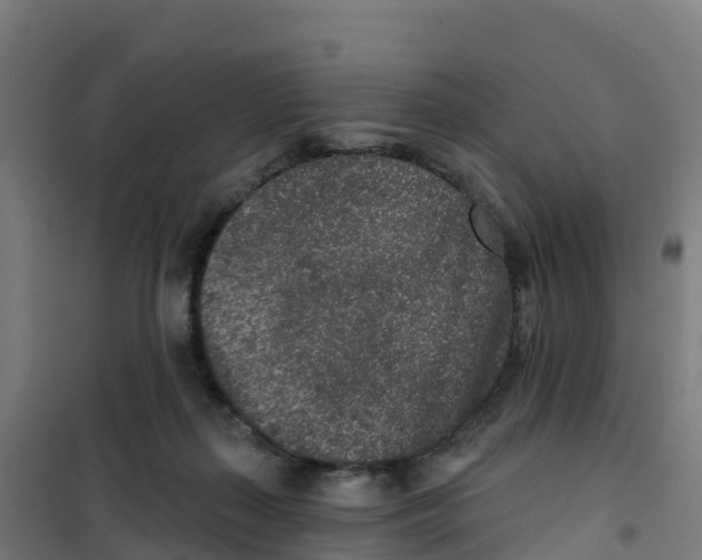 X0000100360267200807031845