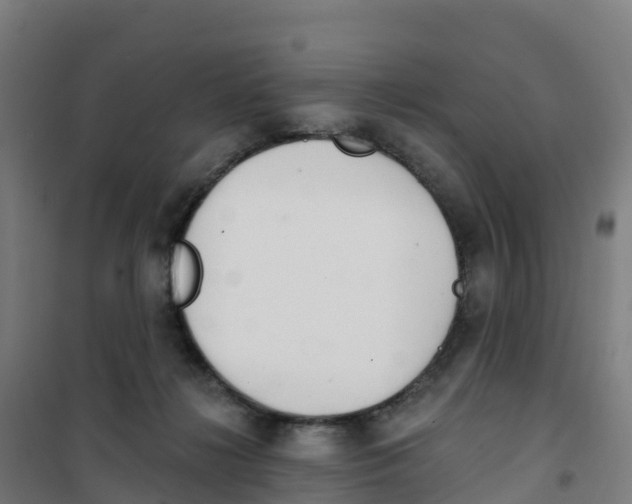 X0000100360268200807031845
