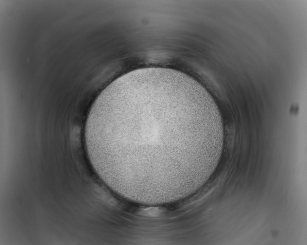 X0000100360269200807031845