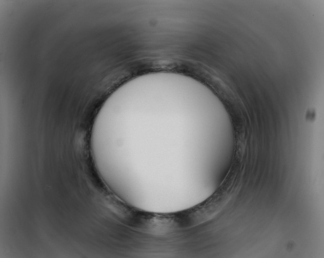X0000100360270200807031845