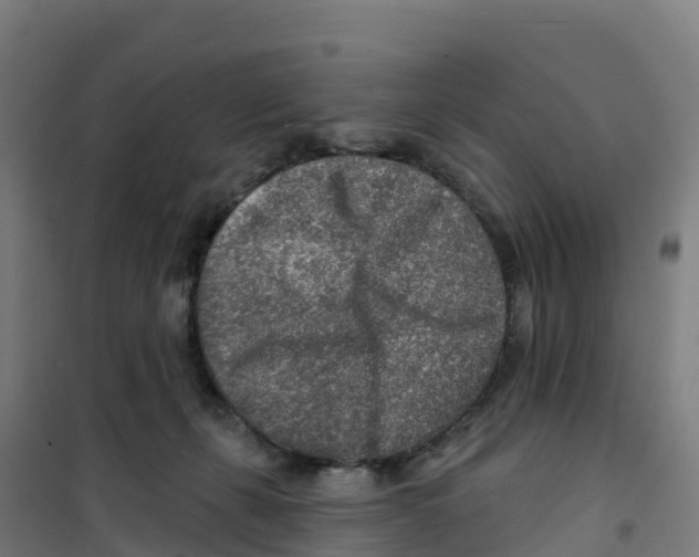 X0000100360271200807031845
