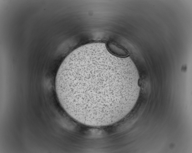 X0000100360272200807031845