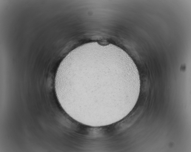 X0000100360273200807031845