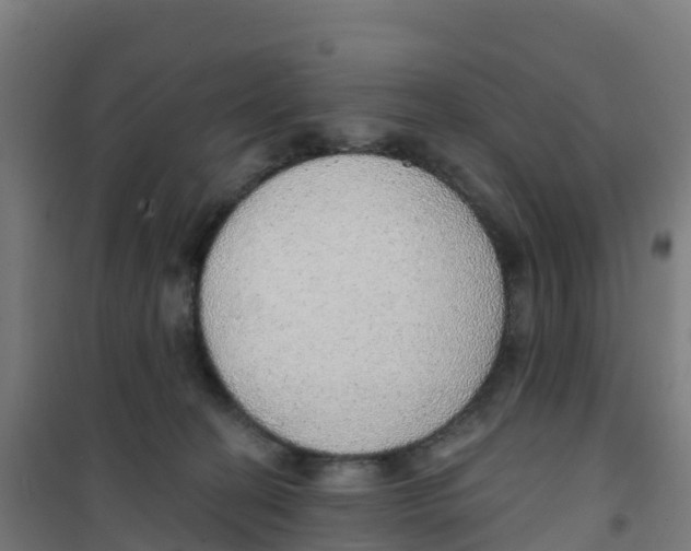 X0000100360274200807031845