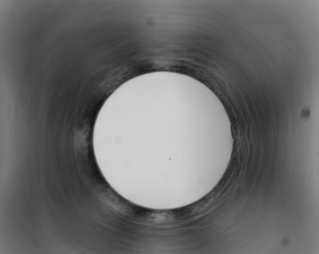 X0000100360275200807031845