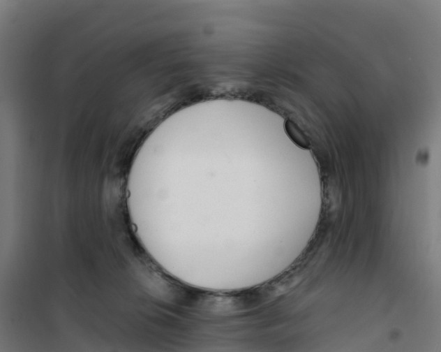 X0000100360276200807031845