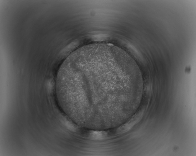 X0000100360277200807031845