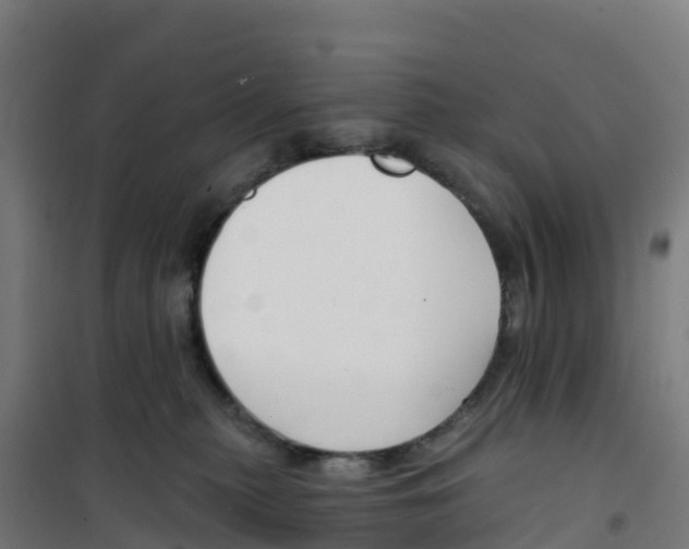 X0000100360279200807031845