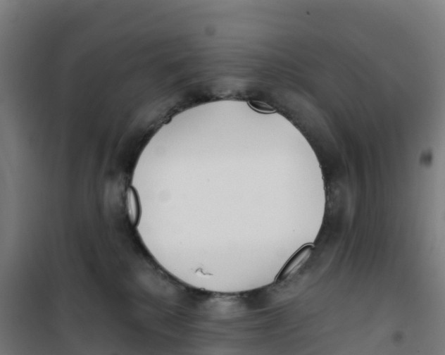 X0000100360280200807031845
